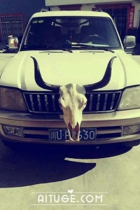 這車什麼牌子？